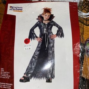 Child’s Halloween costume Spiderella, child Medium